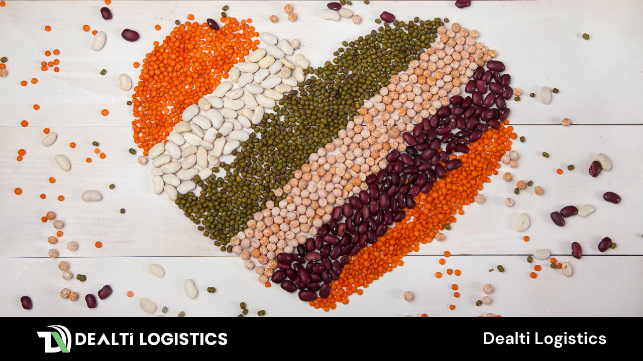 Dealti Logistics gıda taşımacılığı