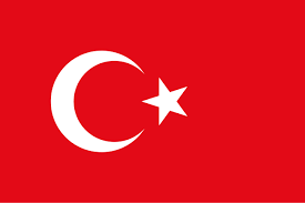 Türkiye Uluslararası Nakliye Hizmeti